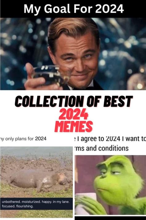 funny sex memes 2024|The best memes of 2024